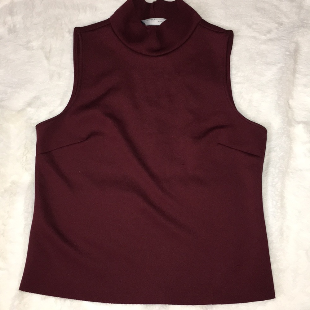 Zara maroon turtle neck